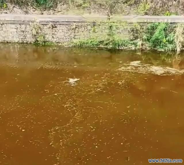 湖南一河流断面监测出铊浓度非常