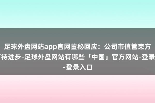 足球外盘网站app官网董秘回应：公司市值管束方面有待进步-足球外盘网站有哪些「中国」官方网站-登录入口