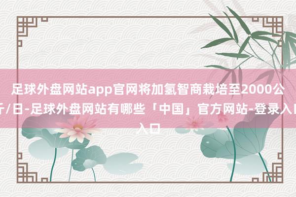 足球外盘网站app官网将加氢智商栽培至2000公斤/日-足球外盘网站有哪些「中国」官方网站-登录入口