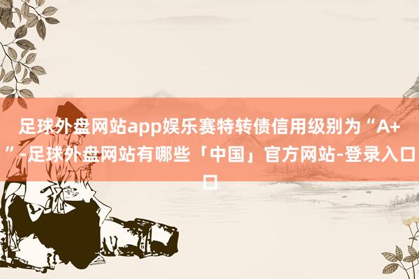 足球外盘网站app娱乐赛特转债信用级别为“A+”-足球外盘网站有哪些「中国」官方网站-登录入口